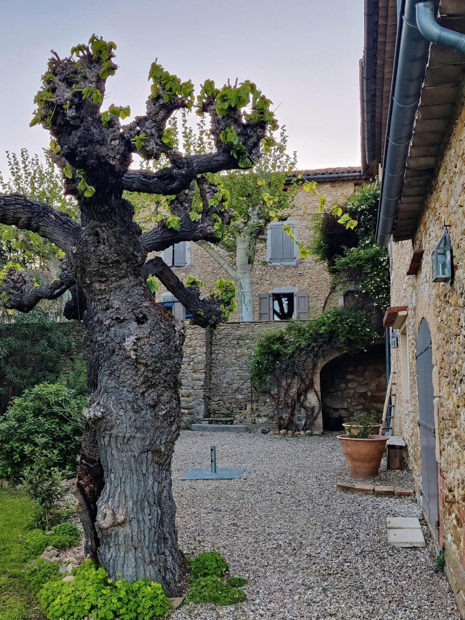 L'Etoffe, Charmante Chambre Dans Un Mas Cevenol Boisset-et-Gaujac 외부 사진